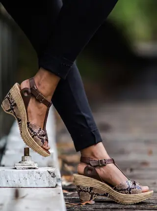 Le modele porte.